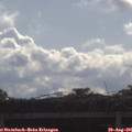 09_25-mast.jpg