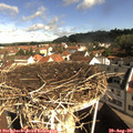 09_40-nest.jpg