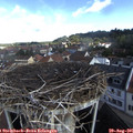 09_45-nest.jpg