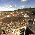09_55-nest.jpg