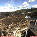 10_00-nest.jpg