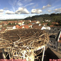 10_05-nest.jpg