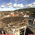 10_10-nest.jpg