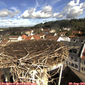 10_15-nest.jpg