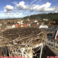 10_20-nest.jpg