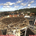 10_30-nest.jpg