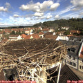 10_35-nest.jpg