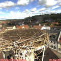10_40-nest.jpg