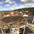 10_55-nest.jpg