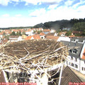 11_05-nest.jpg