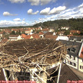 11_15-nest.jpg