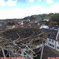 11_30-nest.jpg