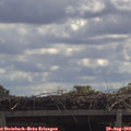 11_35-mast.jpg