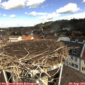 11_35-nest.jpg