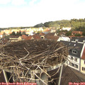 11_40-nest.jpg