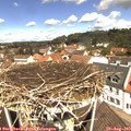 11_45-nest.jpg