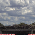 11_50-mast.jpg