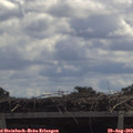 11_55-mast.jpg