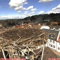 11_55-nest.jpg