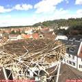 12_00-nest.jpg