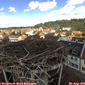 12_05-nest.jpg