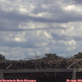 12_10-mast.jpg