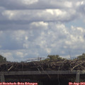 12_15-mast.jpg