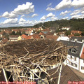 12_15-nest.jpg