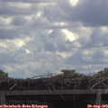 12_20-mast.jpg