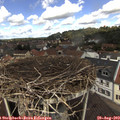 12_20-nest.jpg
