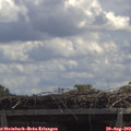 12_25-mast.jpg