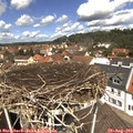 12_25-nest.jpg