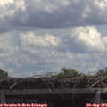 12_30-mast.jpg