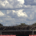 12_35-mast.jpg