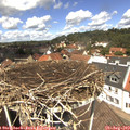 12_35-nest.jpg