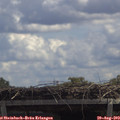 12_40-mast.jpg