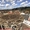 12_40-nest.jpg