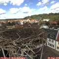 12_45-nest.jpg