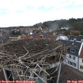 12_55-nest.jpg