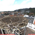 13_05-nest.jpg