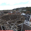 13_10-nest.jpg