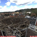 13_15-nest.jpg
