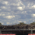 13_20-mast.jpg