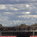 13_25-mast.jpg