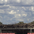 13_30-mast.jpg