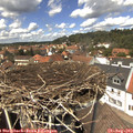 13_30-nest.jpg
