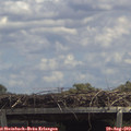 13_35-mast.jpg