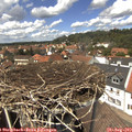 13_35-nest.jpg