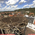 13_40-nest.jpg