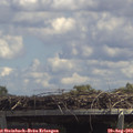 13_45-mast.jpg